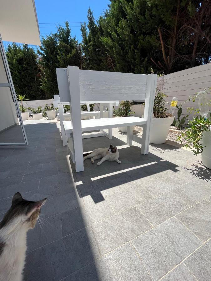 La Casa Di Nina Bed & Breakfast Lecce Dış mekan fotoğraf