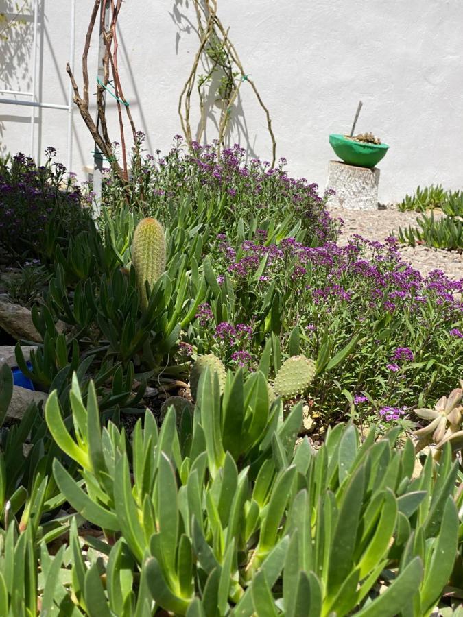 La Casa Di Nina Bed & Breakfast Lecce Dış mekan fotoğraf